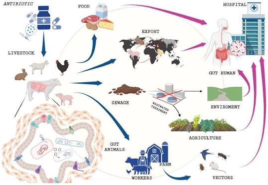 RESPONSIBLE DRUG USE: THE KEY TO HEALTHY LIVESTOCK
